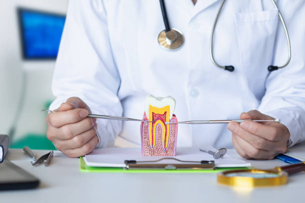 Best Broken or Cracked Tooth Emergency Dentist in Valley View, OH